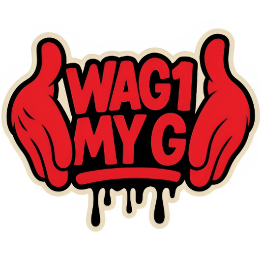 Hip hop style graphic tee wag1 my g
